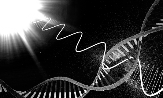 DNA Damage