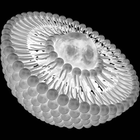 Phospholipids